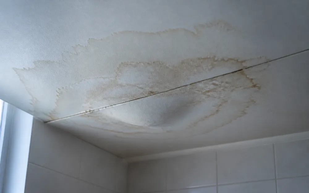 A water-stained bathroom ceiling with a sagging bulge in the drywall and brown tide-line rings