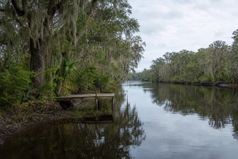 Calm tidal river bend with a small wooden dock and live oaks draped in Spanish moss, Lakeshore near the Ortega River