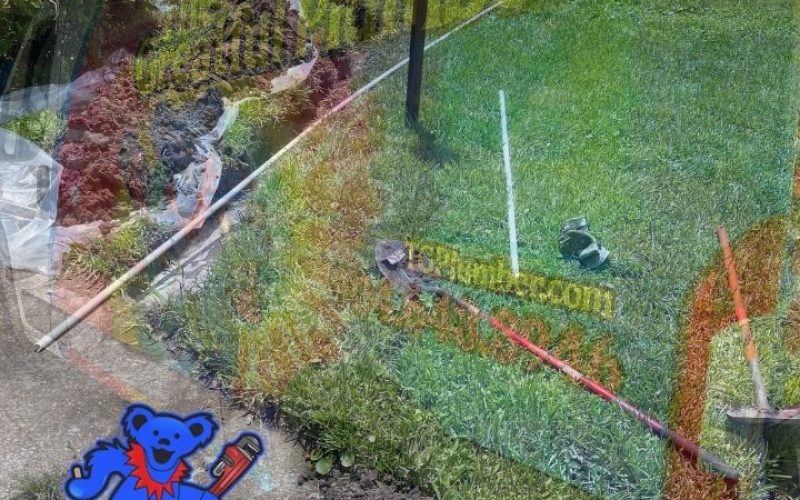 Professional sewer line excavation and repair work in San Marco Jacksonville showing exposed pipes and landscape restoration in 32207 neighborhood